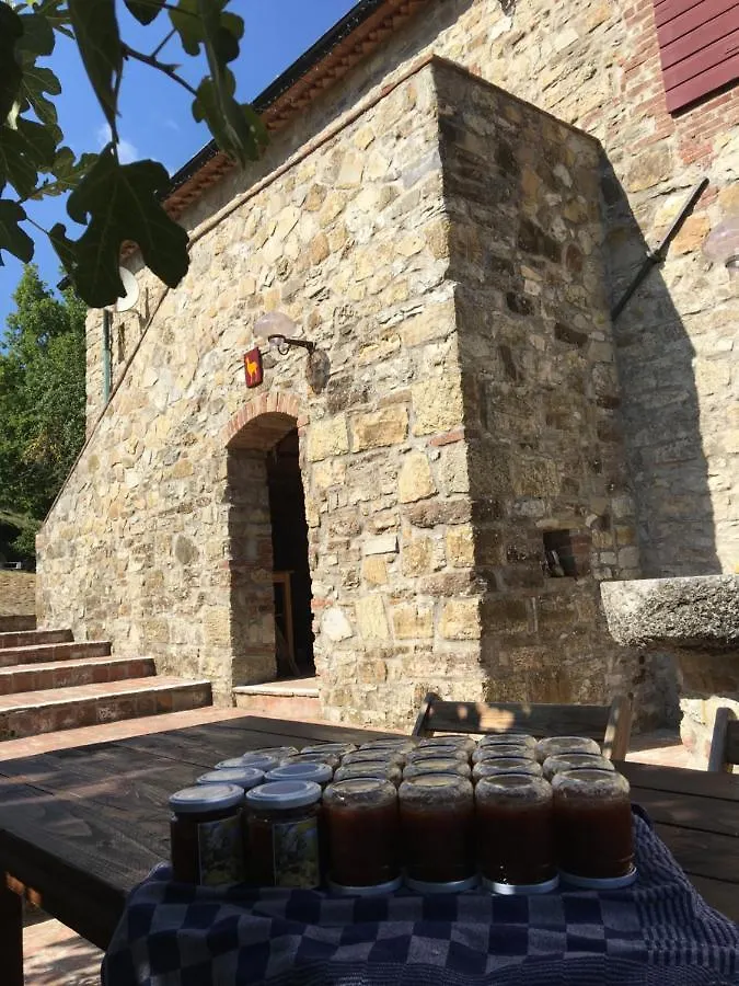 Podere Lama Apartment Castelnuovo di Val di Cecina