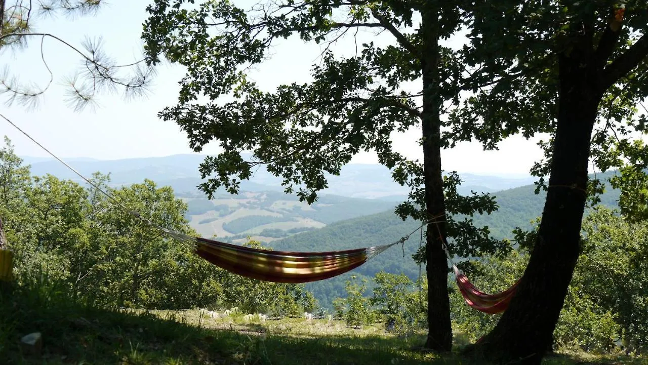 Apartment Podere Lama