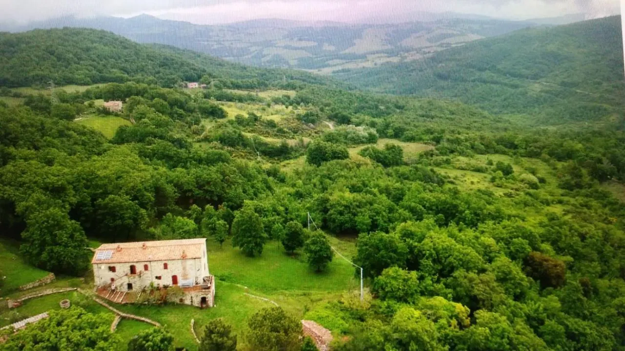 Apartment Podere Lama