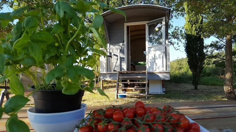 Apartment Podere Lama